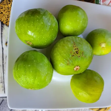 A Casa Di Silvia Frühstückspension *