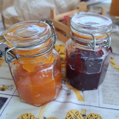 A Casa Di Silvia לינה וארוחת בוקר סאניקולה