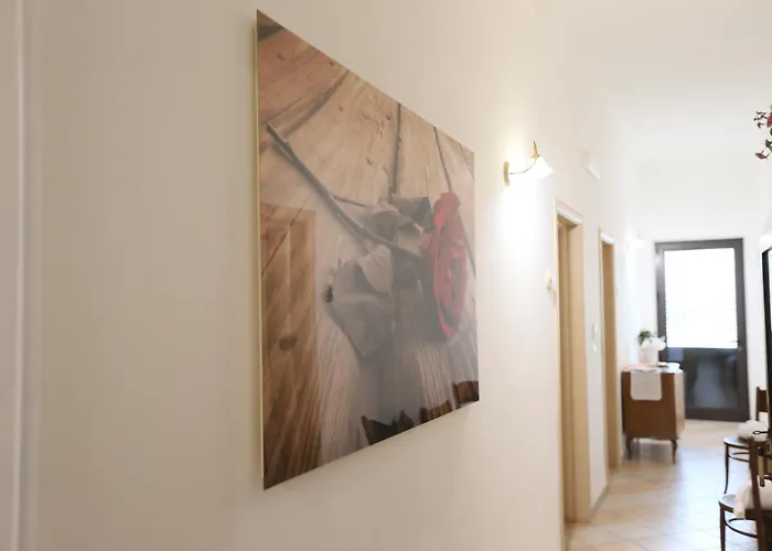 A Casa Di Silvia 3* סאניקולה