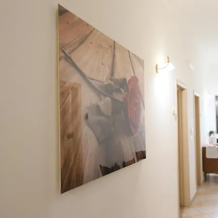 A Casa Di Silvia 3* סאניקולה